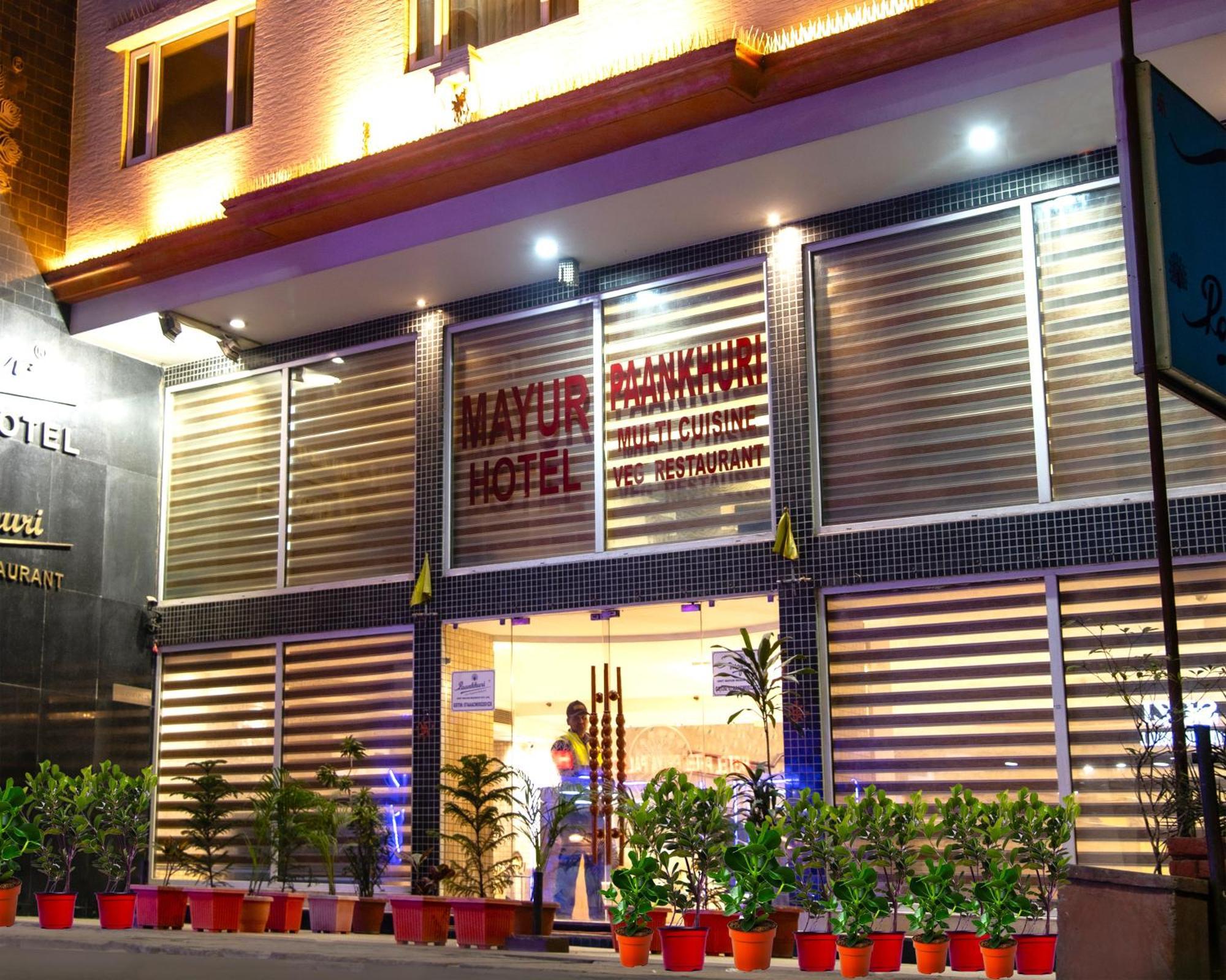 Mayur Hotel Νέο Δελχί Εξωτερικό φωτογραφία